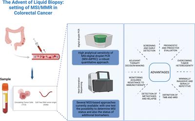 Microsatellite Instable Colorectal Adenocarcinoma Diagnostics: The Advent of Liquid Biopsy Approaches